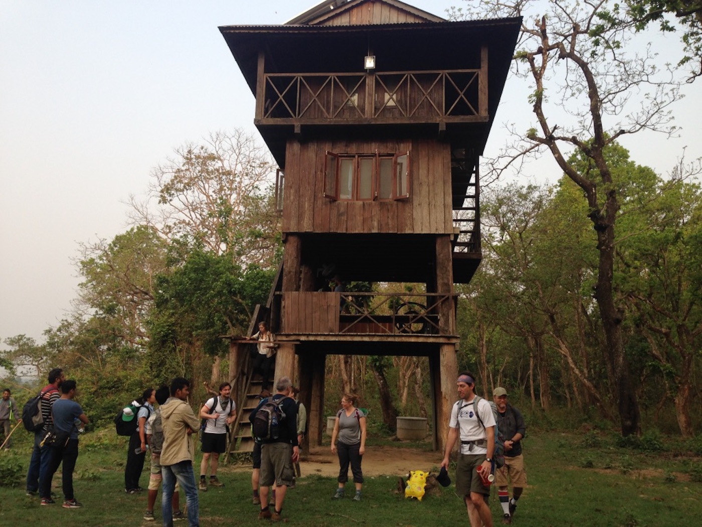Tower Stay at Chitwan