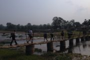 Elephant Breeding at Chitwan